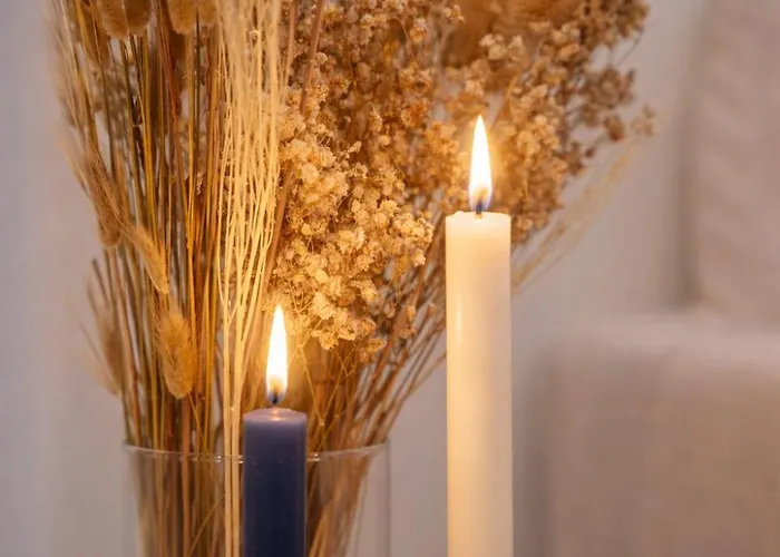 公寓 Prestigieux Pour 2 A 4 Personnes Au Coeur Du Centre-ville